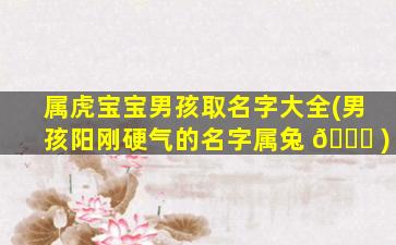 属虎宝宝男孩取名字大全(男孩阳刚硬气的名字属兔 🐎 )